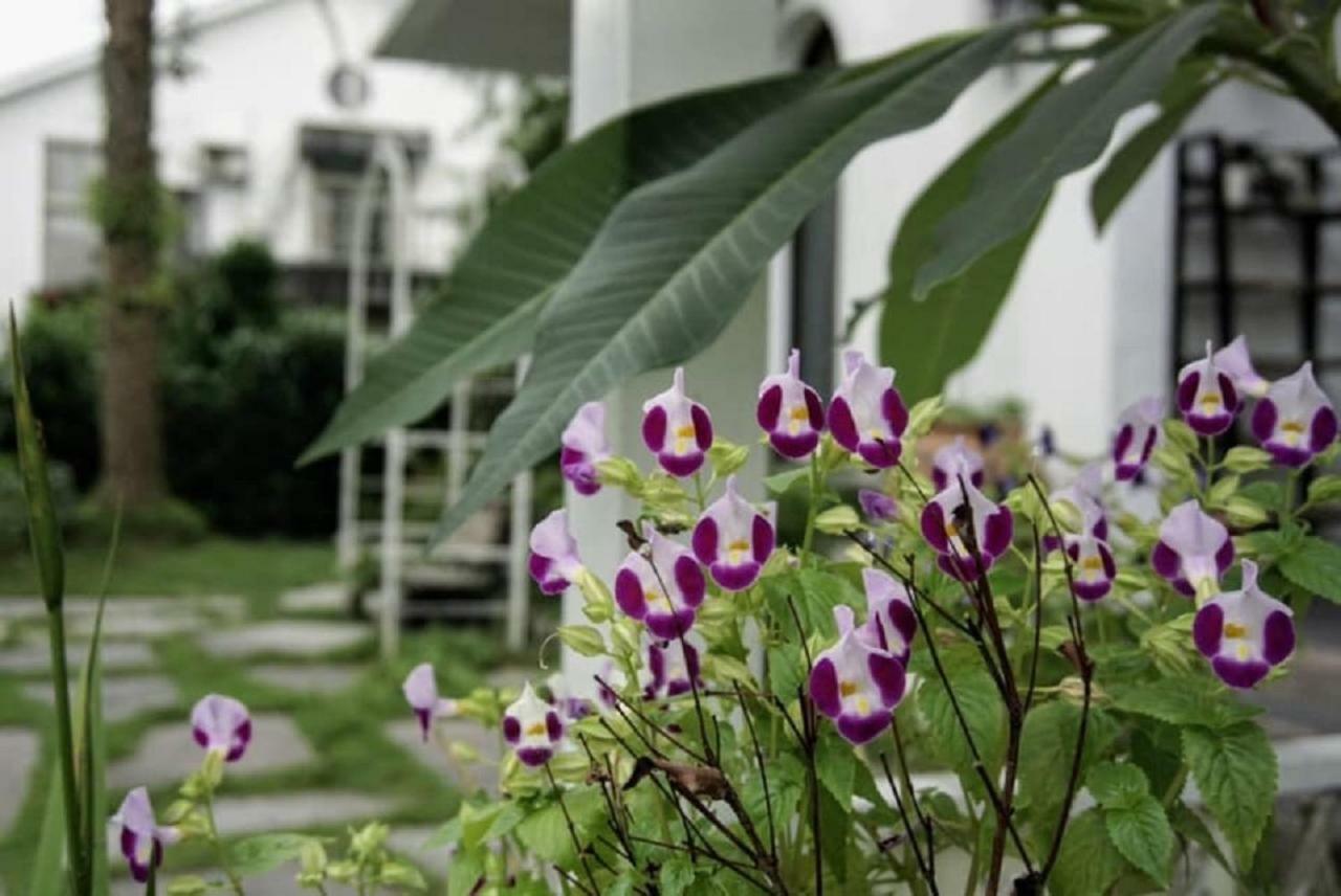 Hasayaki Homestay Sanxing Exterior photo